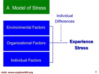 Organizational Factors Individual Factors Experience Stress Individual Differences Environmental Factors A  Model of Stress 
