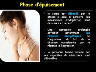 - le corps est             par le
  stress si celui-ci persiste, les
  mécanismes d’adaptation sont
  dépassés et cèdent.

- Une       agression    prolongée
  affaiblit     notamment
                                de
  l’organisme, du fait de la
  dépense occasionnée par la
  réponse à l’agression.

- la personne tombe malade car
ses capacités de résistance sont
débordées
 
