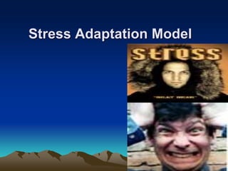 Stress Adaptation Model
 