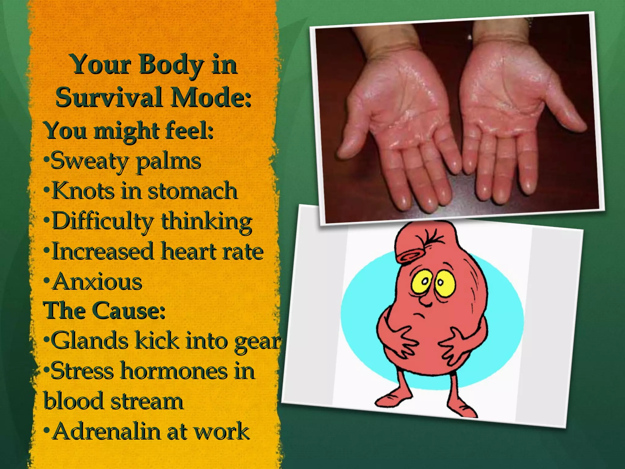 Your Body in Survival Mode: You might feel:  Sweaty palms Knots in stomach Difficulty thinking Increased heart rate Anxious The Cause: Glands kick into gear Stress hormones in blood stream Adrenalin at work 
