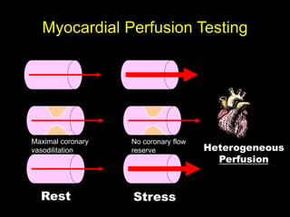 Myocardial Perfusion Testing 
Maximal coronary 
vasodilitation 
Rest 
No coronary flow 
reserve 
Stress 
Heterogeneous 
Perfusion 
 