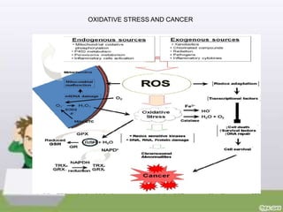 Role of Oxidative stress in disease modification | PPTX