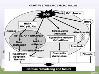 Role of Oxidative stress in disease modification | PPTX