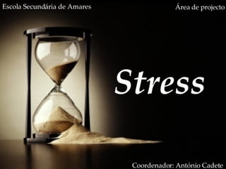 Stress Área de projecto Coordenador: António Cadete Escola Secundária de Amares 
