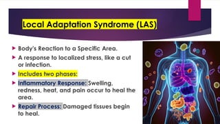 Localized Redeness Stress and Adaptation: Concepts, Types, and Nursing Implications.pptx