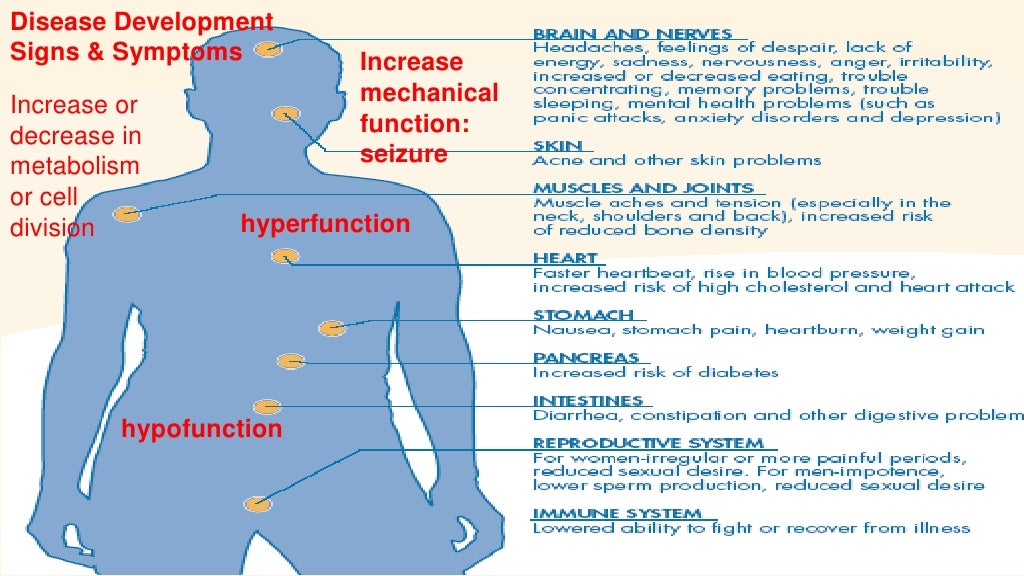 Stress & Adaptation