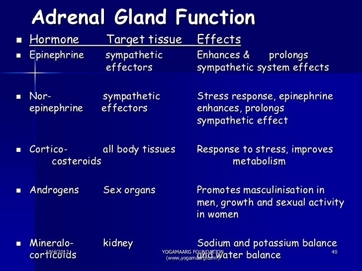Stress adrenal cortex