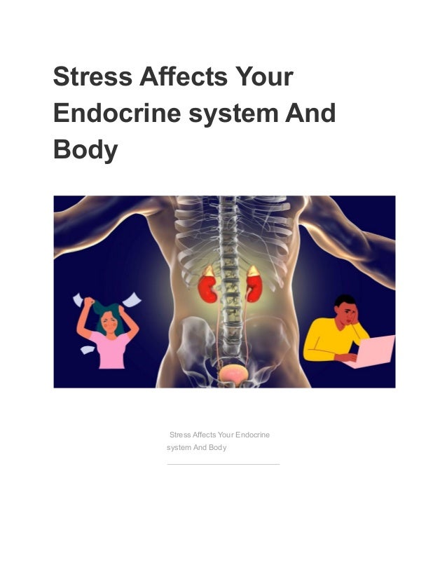Stress Affects Your
Endocrine system And
Body
Stress Affects Your Endocrine
system And Body
 