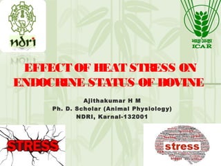 EFFECT OF HEAT STRESS ON
ENDOCRINE STATUS OF BOVINE
Ajithakumar H M
Ph. D. Scholar (Animal Physiology)
NDRI, Karnal-132001
 