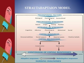 STRAUTADAPTAION MODEL
 