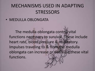 MECHANISMS USED IN ADAPTING
STRESSORS
• MEDULLA OBLONGATA
The medulla oblongata control vital
functions necessary to survival. These include
heart rate, blood pressure & respiratory.
Impulses traveling to & from the medulla
oblongata can increase or decrease these vital
functions.
 