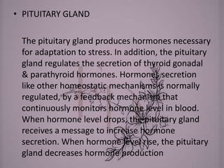 • PITUITARY GLAND
The pituitary gland produces hormones necessary
for adaptation to stress. In addition, the pituitary
gland regulates the secretion of thyroid gonadal
& parathyroid hormones. Hormones secretion
like other homeostatic mechanisms is normally
regulated, by a feedback mechanism that
continuously monitors hormone level in blood.
When hormone level drops, the pituitary gland
receives a message to increase hormone
secretion. When hormone level rise, the pituitary
gland decreases hormone production
 
