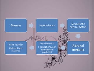 Stressor hypothalamus
Sympathetic
nervous system
Adrenal
medulla
Catecholamine
( epinephrine, nor
epinephrine
produces)
Alarm reaction
Fight or Flight
response
 