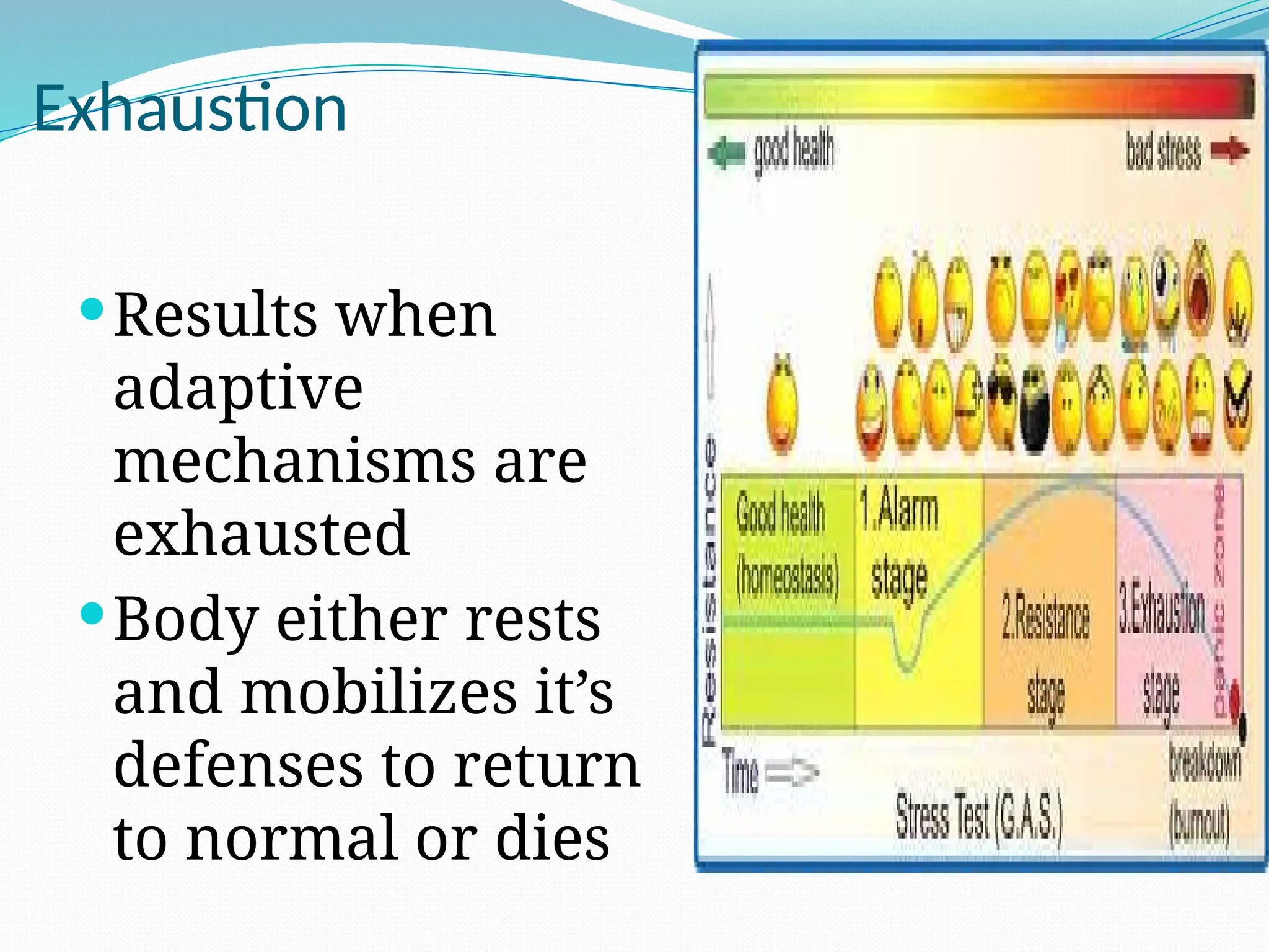 Exhaustion
Results when
adaptive
mechanisms are
exhausted
Body either rests
and mobilizes it’s
defenses to return
to normal or dies
 