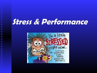 Stress & Performance 
 