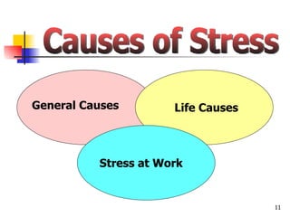 Causes of Stress General Causes Life Causes Stress at Work 