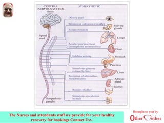 Brought to you by
The Nurses and attendants staff we provide for your healthy
recovery for bookings Contact Us:-
 