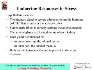 Endocrine Responses to Stress
Hypothalamus causes:
• The pituitary gland to secrete adrenocorticotropic hormone
(ACTH) that stimulates the adrenal cortex
• Sympathetic fibers to directly activate the adrenal medulla
• The adrenal glands are located on top of each kidney
• Each gland is composed of:
– an outer covering: the adrenal cortex
– an inner part: the adrenal medulla
• Both secrete hormones that are important in the stress
response
Brought to you by
The Nurses and attendants staff we provide for your healthy
recovery for bookings Contact Us:-
 