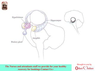 Brought to you by
The Nurses and attendants staff we provide for your healthy
recovery for bookings Contact Us:-
 