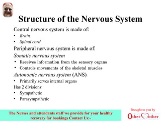 Structure of the Nervous System
Central nervous system is made of:
• Brain
• Spinal cord
Peripheral nervous system is made of:
Somatic nervous system
• Receives information from the sensory organs
• Controls movements of the skeletal muscles
Autonomic nervous system (ANS)
• Primarily serves internal organs
Has 2 divisions:
• Sympathetic
• Parasympathetic
Brought to you by
The Nurses and attendants staff we provide for your healthy
recovery for bookings Contact Us:-
 