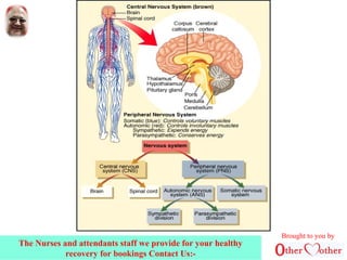 Brought to you by
The Nurses and attendants staff we provide for your healthy
recovery for bookings Contact Us:-
 