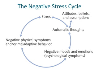 The Negative Stress Cycle
 