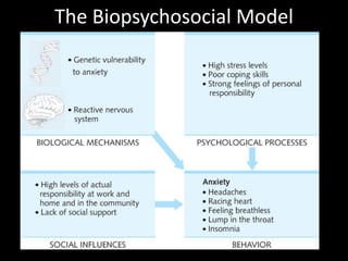 The Biopsychosocial Model
 