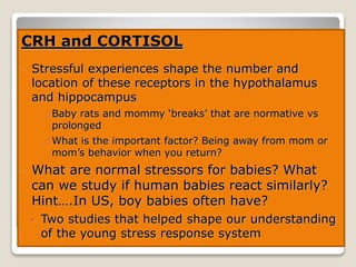 CRH and CORTISOL
• Stressful experiences shape the number and
location of these receptors in the hypothalamus
and hippocampus
oBaby rats and mommy ‘breaks’ that are normative vs
prolonged
oWhat is the important factor? Being away from mom or
mom’s behavior when you return?
• What are normal stressors for babies? What
can we study if human babies react similarly?
Hint….In US, boy babies often have?
• Two studies that helped shape our understanding
of the young stress response system
 