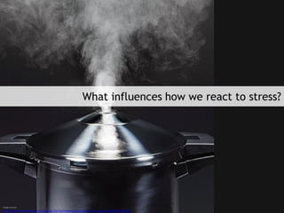 Image sources
http://www.cookinglight.com/cooking-101/techniques/pressure-cooker-recipes-00412000068028/
What influences how we react to stress?
 