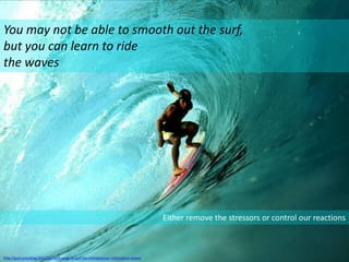 You may not be able to smooth out the surf,
but you can learn to ride
the waves
Image sources
http://gust.com/blog/2012/01/30/8-ways-to-surf-the-entrepreneur-information-wave/
Either remove the stressors or control our reactions
 