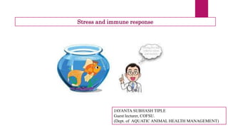 Stress and immune response
JAYANTA SUBHASH TIPLE
Guest lecturer, COFSU.
(Dept. of AQUATIC ANIMAL HEALTH MANAGEMENT)
 