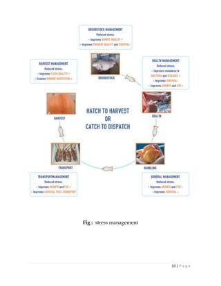 Stress and infectious disease | PDF