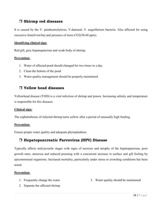 Stress and infectious disease final | PDF