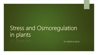 Stress and Osmoregulation
in plants
BY HAIDER ALI MALIK
 