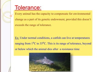 Tolerance:
Every animal has the capacity to compensate for environmental
change as a part of its genetic endowment, provided this doesn’t
exceeds the range of tolerance.
Ex: Under normal conditions, a catfish can live at temperatures
ranging from 1⁰C to 35⁰C. This is its range of tolerance, beyond
or below which the animal dies after a resistance time
 