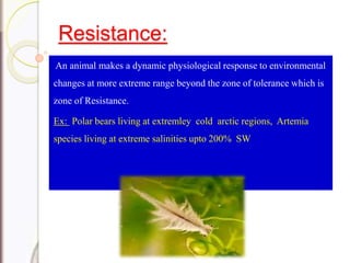 Resistance:
An animal makes a dynamic physiological response to environmental
changes at more extreme range beyond the zone of tolerance which is
zone of Resistance.
Ex: Polar bears living at extremley cold arctic regions, Artemia
species living at extreme salinities upto 200% SW
 