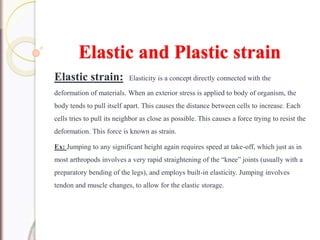 Elastic and Plastic strain
Elastic strain: Elasticity is a concept directly connected with the
deformation of materials. When an exterior stress is applied to body of organism, the
body tends to pull itself apart. This causes the distance between cells to increase. Each
cells tries to pull its neighbor as close as possible. This causes a force trying to resist the
deformation. This force is known as strain.
Ex: Jumping to any significant height again requires speed at take-off, which just as in
most arthropods involves a very rapid straightening of the “knee” joints (usually with a
preparatory bending of the legs), and employs built-in elasticity. Jumping involves
tendon and muscle changes, to allow for the elastic storage.
 