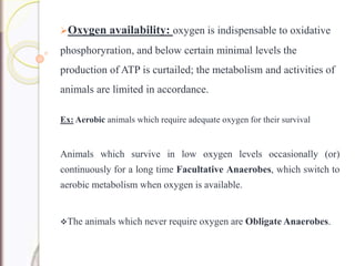 Oxygen availability: oxygen is indispensable to oxidative
phosphoryration, and below certain minimal levels the
production of ATP is curtailed; the metabolism and activities of
animals are limited in accordance.
Ex: Aerobic animals which require adequate oxygen for their survival
Animals which survive in low oxygen levels occasionally (or)
continuously for a long time Facultative Anaerobes, which switch to
aerobic metabolism when oxygen is available.
The animals which never require oxygen are Obligate Anaerobes.
 