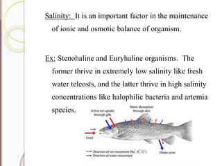 Salinity: It is an important factor in the maintenance
of ionic and osmotic balance of organism.
Ex: Stenohaline and Euryhaline organisms. The
former thrive in extremely low salinity like fresh
water teleosts, and the latter thrive in high salinity
concentrations like halophilic bacteria and artemia
species.
 
