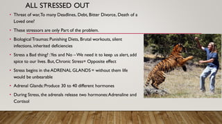 ALL STRESSED OUT
• Threat of war,To many Deadlines, Debt, Bitter Divorce, Death of a
Loved one?
• These stressors are only Part of the problem.
• BiologicalTraumas:Punishing Diets, Brutal workouts, silent
infections, inherited deficiencies
• Stress a Bad thing? :Yes and No –We need it to keep us alert, add
spice to our lives. But,Chronic Stress= Opposite effect
• Stress begins in the ADRENAL GLANDS = without them life
would be unbearable
• Adrenal Glands:Produce 30 to 40 different hormones
• During Stress, the adrenals release two hormones:Adrenaline and
Cortisol
 