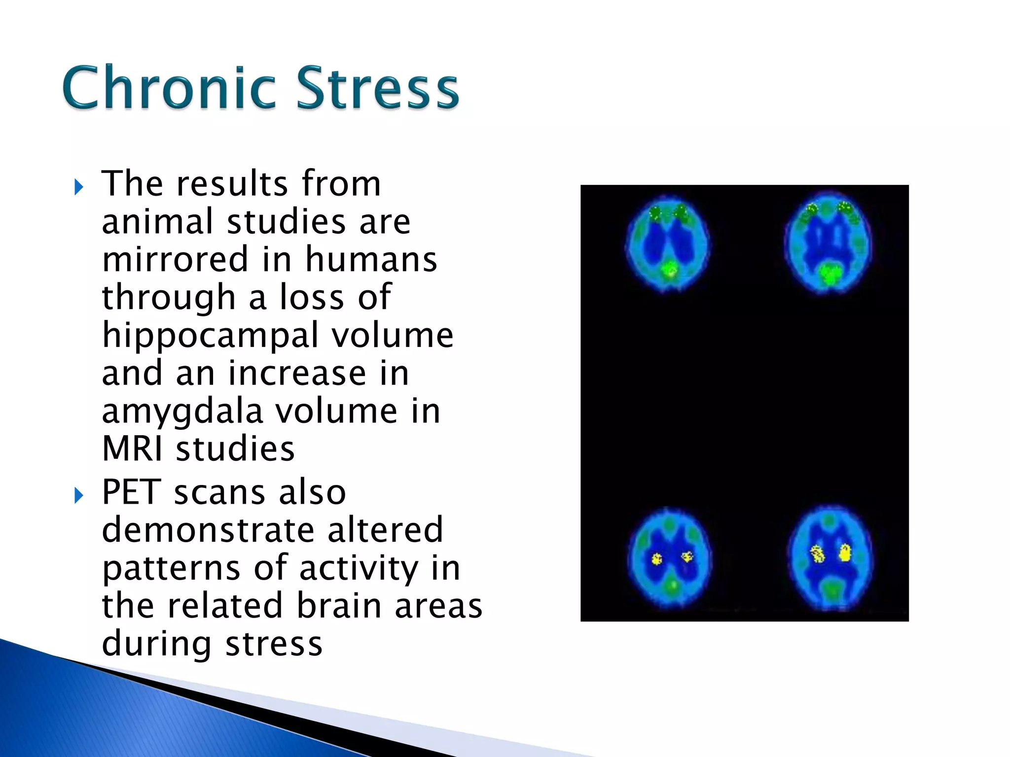    The results from
    animal studies are
    mirrored in humans
    through a loss of
    hippocampal volume
    and an increase in
    amygdala volume in
    MRI studies
   PET scans also
    demonstrate altered
    patterns of activity in
    the related brain areas
    during stress
 