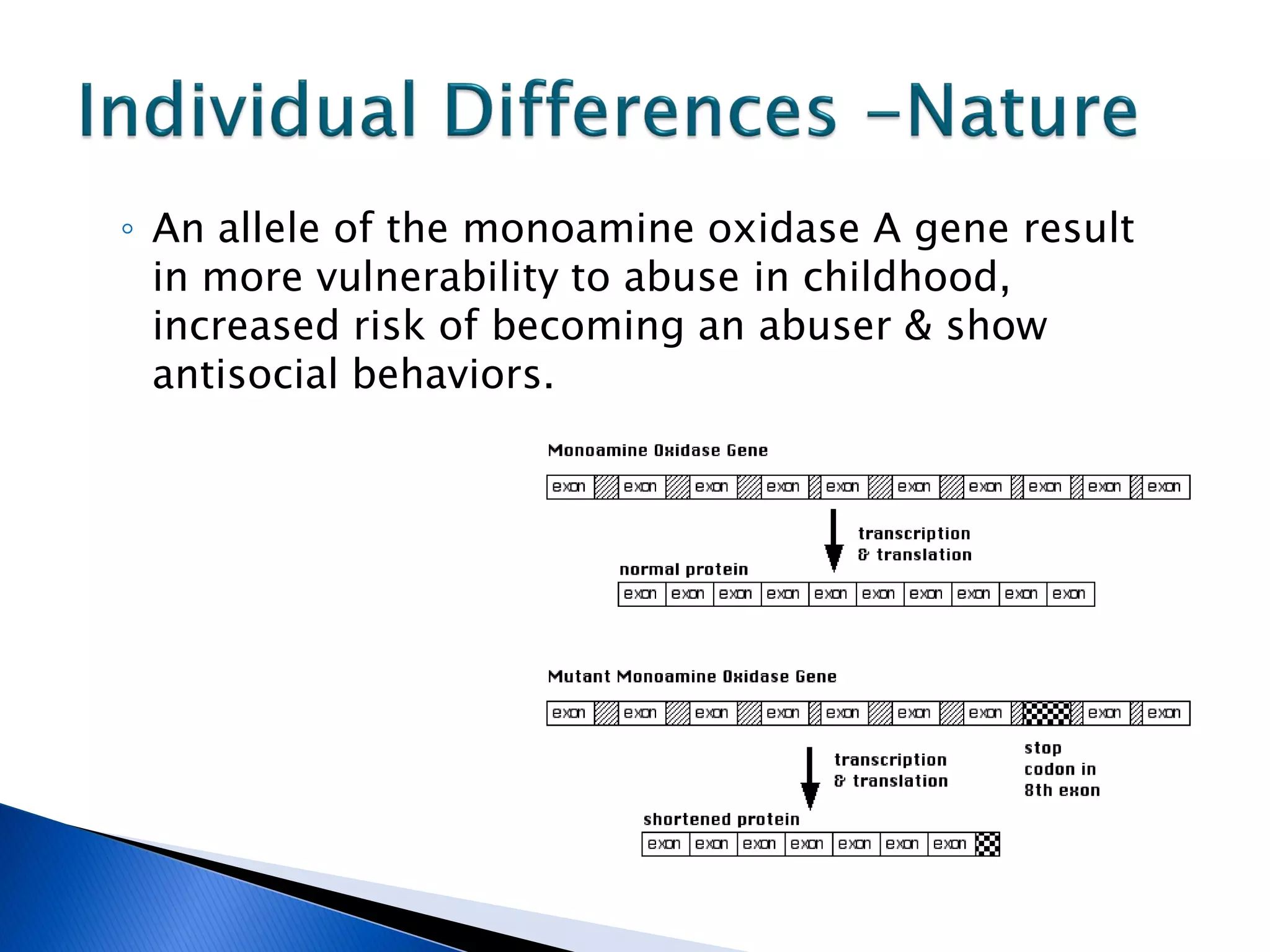 ◦ An allele of the monoamine oxidase A gene result
  in more vulnerability to abuse in childhood,
  increased risk of becoming an abuser & show
  antisocial behaviors.
 