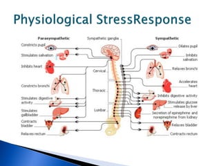 The Effects of Stress And The Brain | PDF