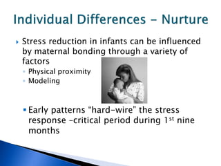 The Effects of Stress And The Brain | PDF