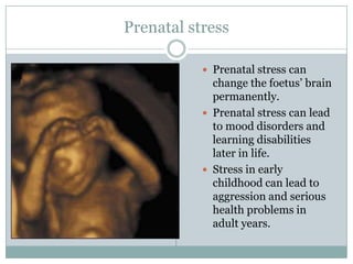 Stress and the brain | PPTX