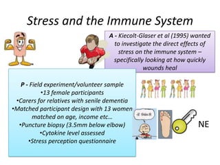 Stress and the immune system | PPTX