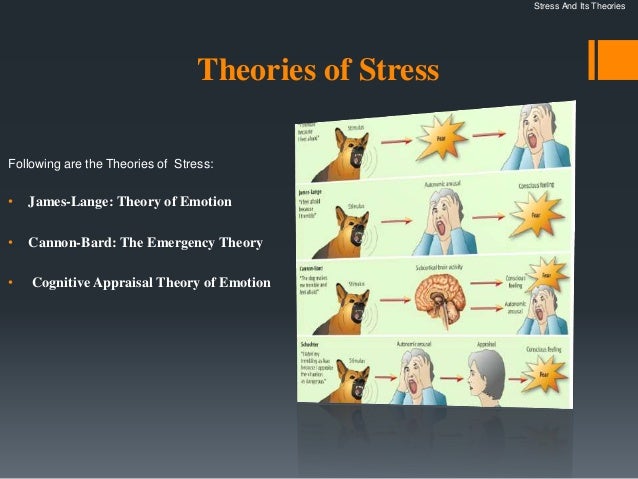theories of stress and stress management Thesis abstracts in stress management - research tooth tiger of prehistoric humans’ stress stimulators theories about the causes of stress. theories of stress and stress management Thesis abstracts in stress management - research tooth tiger of prehistoric humans’ stress stimulators theories about the causes of stress.