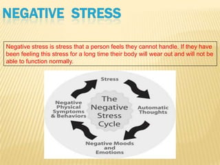 Stress Assignment Stress assignment praneet | PPTX