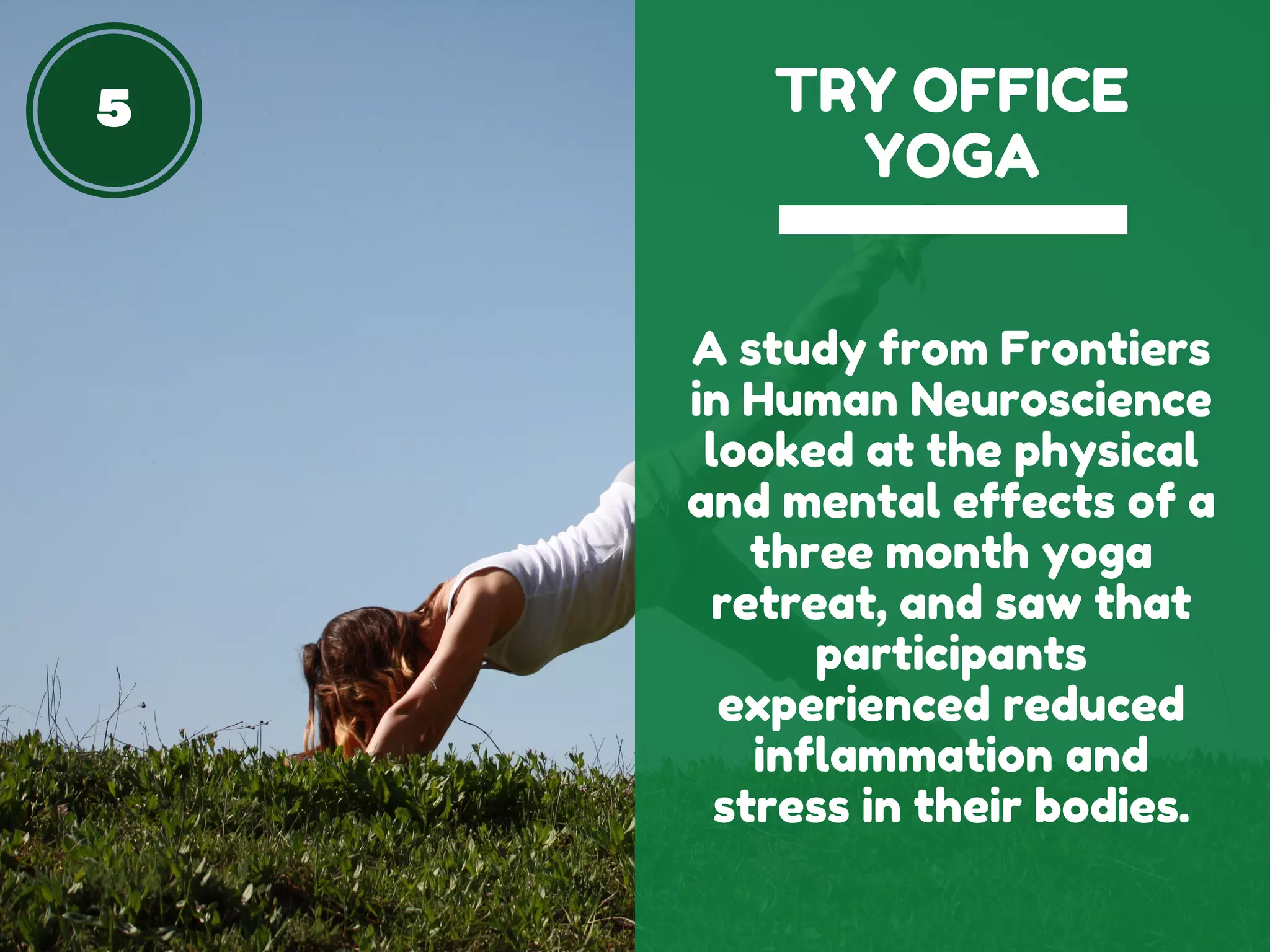 5 TRY OFFICE
YOGA
A study from Frontiers
in Human Neuroscience
looked at the physical
and mental effects of a
three month yoga
retreat, and saw that
participants
experienced reduced
inflammation and
stress in their bodies.
 