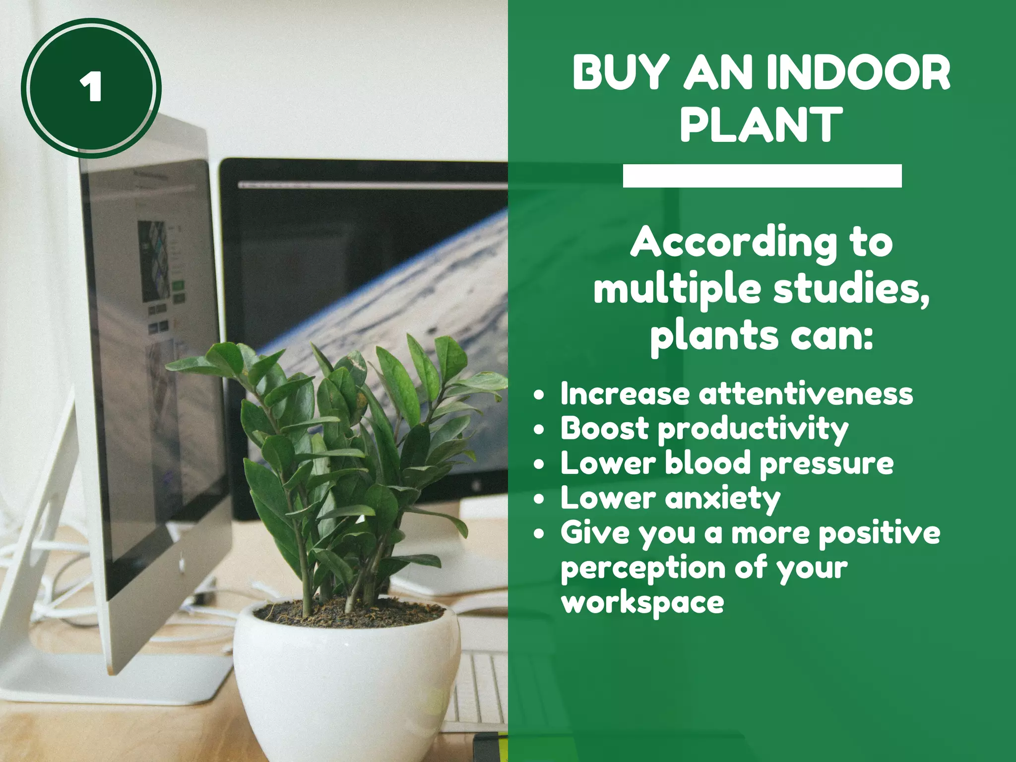 1 BUY AN INDOOR
PLANT
According to
multiple studies,
plants can:
Increase attentiveness
Boost productivity
Lower blood pressure
Lower anxiety
Give you a more positive
perception of your
workspace
 